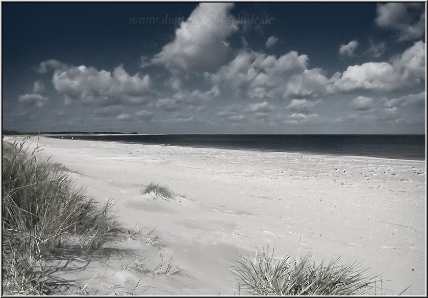 Darss2009_009.jpg - Ein breiter weisser Sandstrand liegt nördlich von Prerow. Übrigens ist das die angehende Baustelle des kommenden Sport- und Yachthafens...