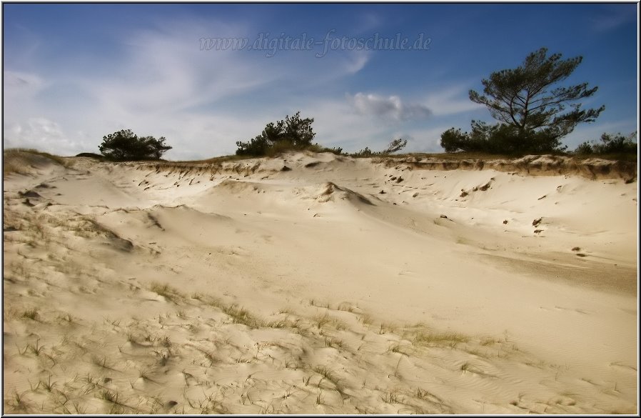 Darss2009_026.jpg - Eine Dünenlandschaft wie an der Cote d´Argent in Frankreich.
