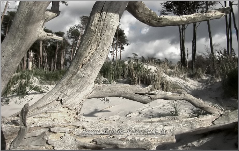 Darss2009_036.jpg - Der Weststrand. HDR- Bild mit verändertem Tonemapping.