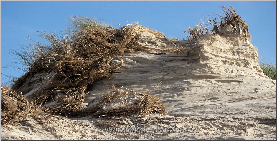 Darss2009_044.jpg - Hier sind selbst die Dünengräser "Windflüchter" und der Sand trägt Stromlinien.