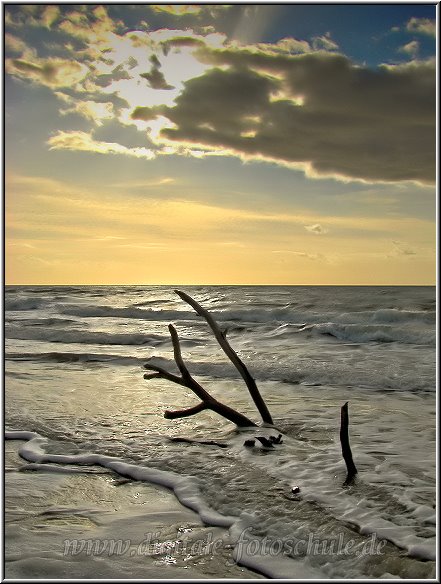 Darss2009_051.jpg - Strandgut, Sand, Himmel und Meer. Daraus entsteht ein unvergleichliches Naturgefühl. Der Weststrand. Und am späten Nachmittag bei tiefstehender Sonne zur Goldenen Stunde umso mehr.
