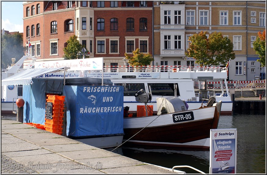 Darss2009_068.jpg - Frischer Fisch am Hafen