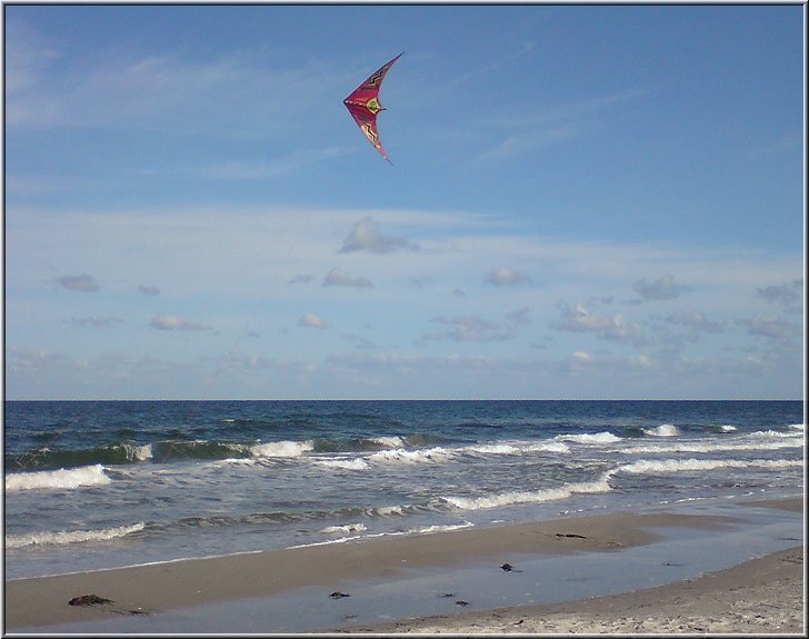 Darss2009_Thunderbird2.jpg - Das liebe ich ja ganz besonders. Den Drachen über dem Meer fliegen zu lassen und dabei die Wellen zu beobachten.