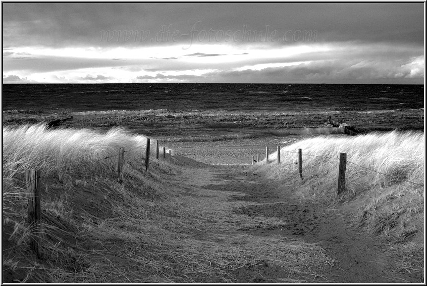 Ahrenshoop_Ostsee03_Die_Fotoschule.jpg