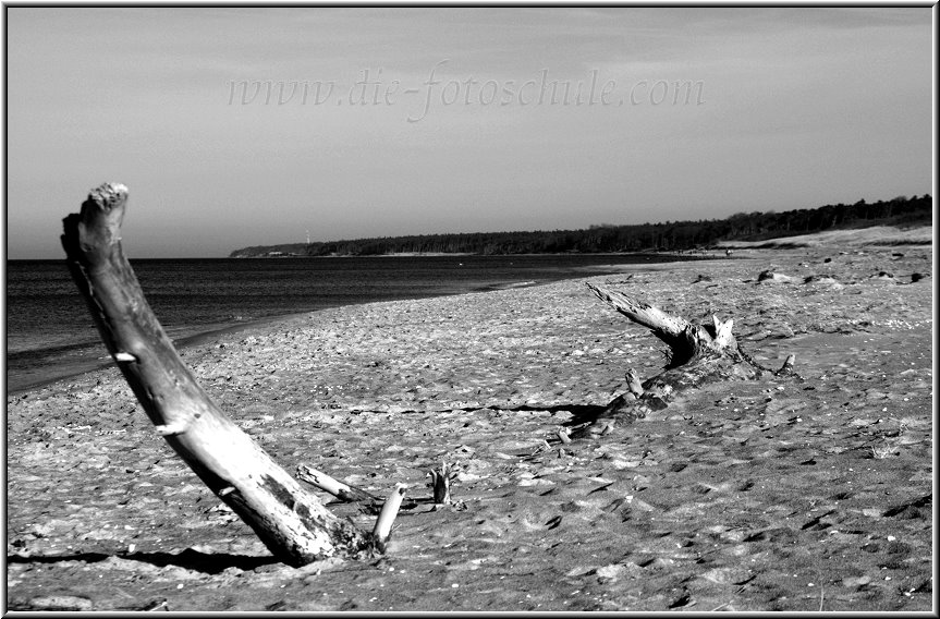 Darss_Weststrand_Ostsee09sw_Die_Fotoschule.jpg