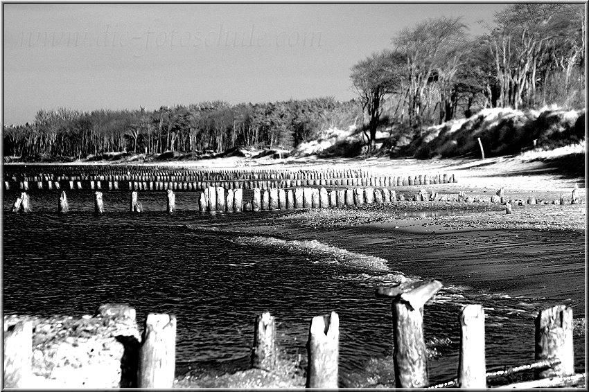 Darss_Weststrand_Ostsee13sw_Die_Fotoschule.jpg