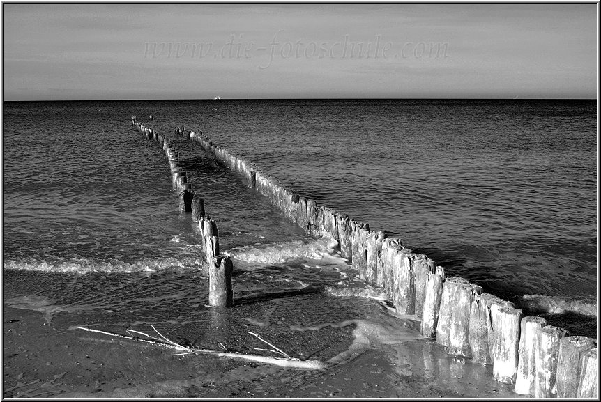 Darss_Weststrand_Ostsee14sw_Die_Fotoschule.jpg