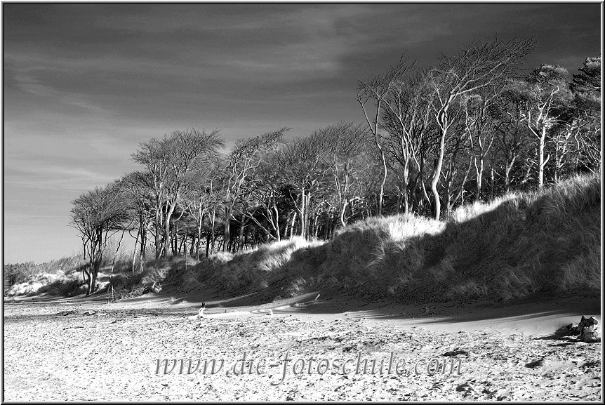 Darss_Weststrand_Ostsee19sw_Die_Fotoschule.jpg