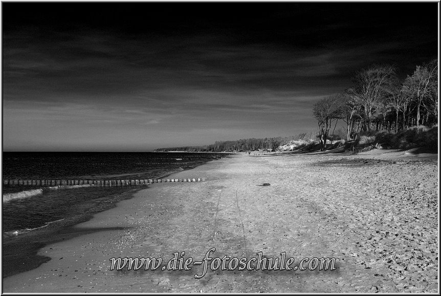 Darss_Weststrand_Ostsee30sw_Die_Fotoschule.jpg