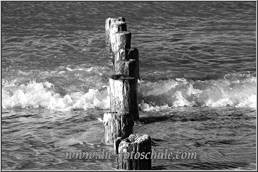 Darss_Weststrand_Ostsee31sw_Die_Fotoschule.jpg