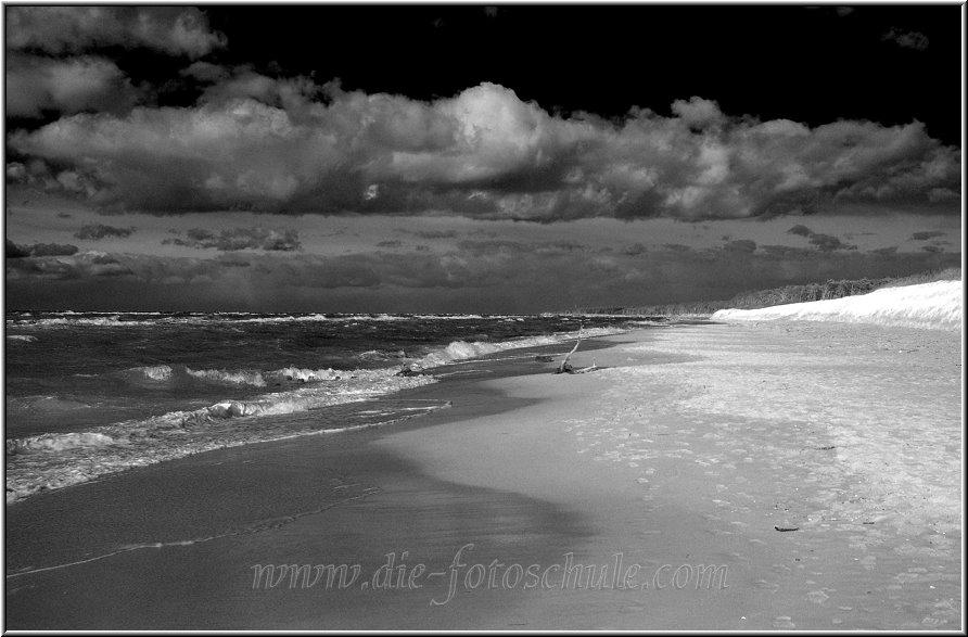 Darss_Weststrand_Ostsee40sw_Die_Fotoschule.jpg