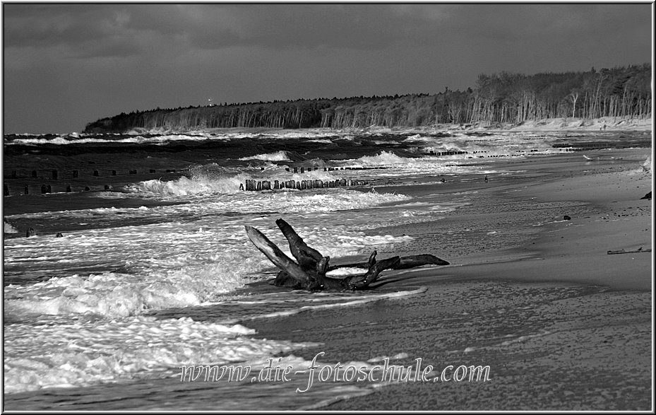 Darss_Weststrand_Ostsee44_Die_Fotoschule.jpg