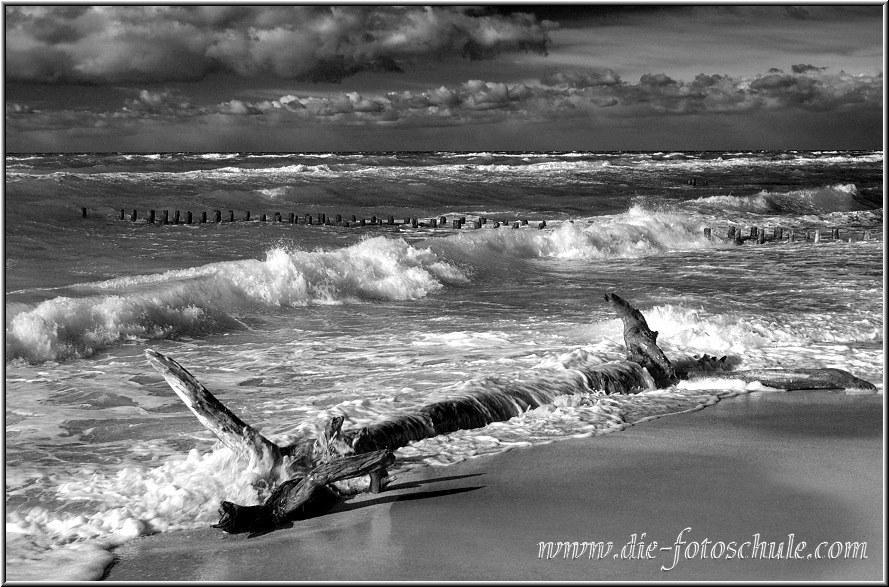 Darss_Weststrand_Ostsee46sw_Die_Fotoschule.jpg - In meinem Reisebericht (über die Startseite Darß zu erreichen) beschreibe ich auch den Weststrand ausführlich, darum werde ich mich hier im Webalbum mit meinen Kommentaren etwas zurück halten....