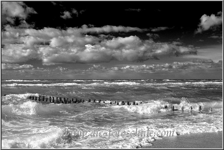 Darss_Weststrand_Ostsee47sw_Die_Fotoschule.jpg