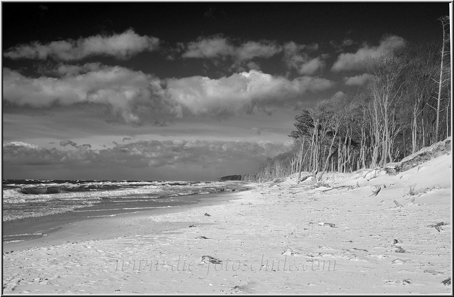 Darss_Weststrand_Ostsee50sw_Die_Fotoschule.jpg