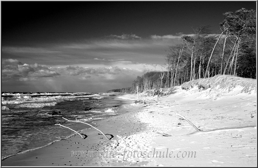 Darss_Weststrand_Ostsee55sw_Die_Fotoschule.jpg