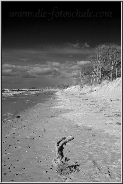 Darss_Weststrand_Ostsee56sw_Die_Fotoschule.jpg