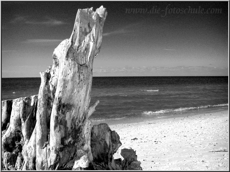 Darss_Weststrand_Ostsee65sw_Die_Fotoschule.jpg