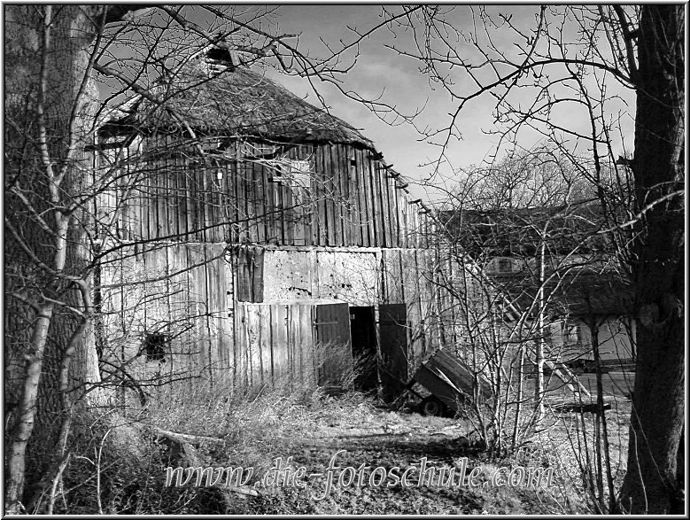 Wieck_Hafen08_Die_Fotoschule.jpg - Alte Scheune in Wieck