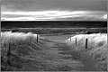 Ahrenshoop_Ostsee03_Die_Fotoschule