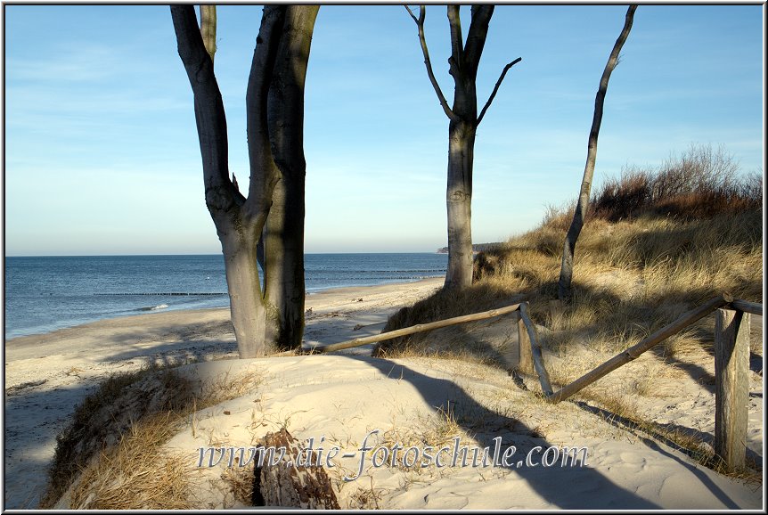 Darss_Weststrand_Ostsee18_Die_Fotoschule.jpg - Solche Ausblicke gibts am Weststrand in Überfluß