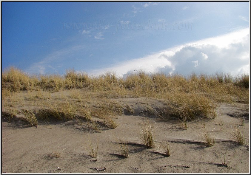 Darss_Weststrand_Ostsee35_Die_Fotoschule.jpg