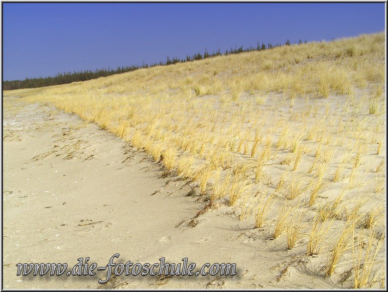 Darss_Weststrand_Ostsee38_Die_Fotoschule.jpg