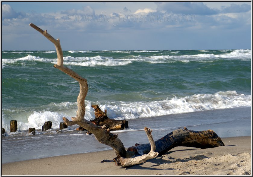 Darss_Weststrand_Ostsee41_Die_Fotoschule.jpg - Ralfonso-TippWenn Dein Bildschirm die Fotos unten abschneidet, drück einfach die F11-Taste, um die Bildfläche zu vergrößern. Du kannst durch nochmaliges Drücken der F11-Taste wieder zu Deiner gewohnten Ansicht zurückspringen.