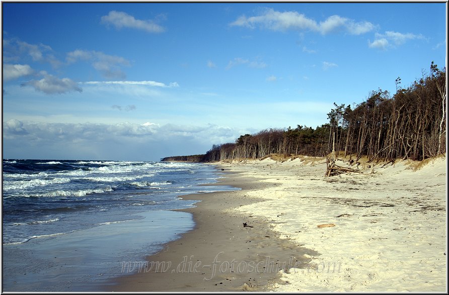 Darss_Weststrand_Ostsee49_Die_Fotoschule.jpg