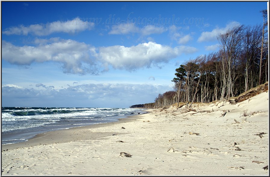 Darss_Weststrand_Ostsee50_Die_Fotoschule.jpg