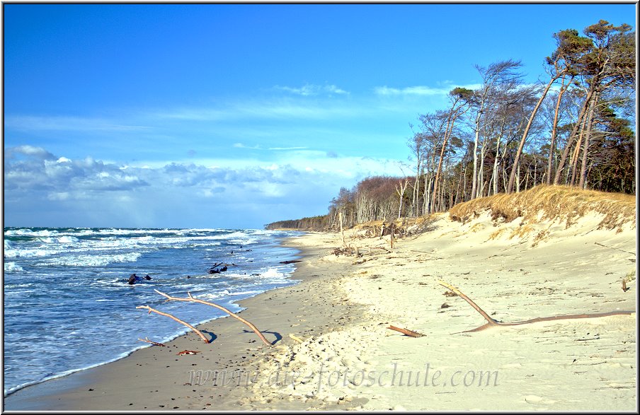 Darss_Weststrand_Ostsee55_Die_Fotoschule.jpg