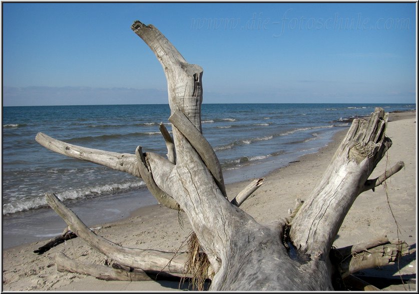 Darss_Weststrand_Ostsee60_Die_Fotoschule.jpg