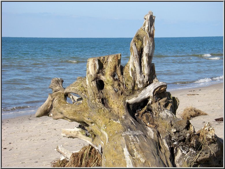 Darss_Weststrand_Ostsee62_Die_Fotoschule.jpg