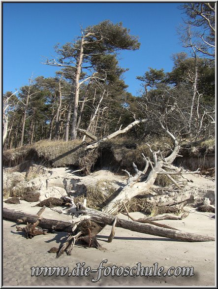 Darss_Weststrand_Ostsee67_Die_Fotoschule.jpg