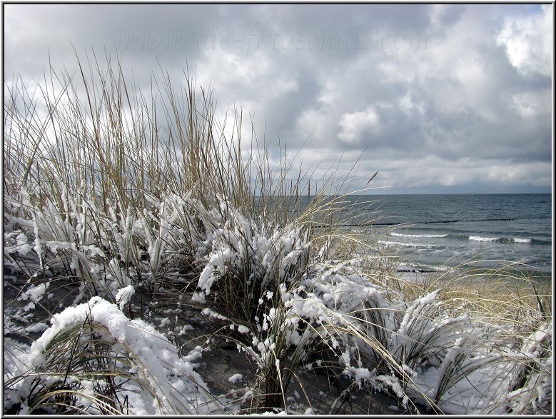 Darss_Weststrand_Ostsee82_Die_Fotoschule.jpg