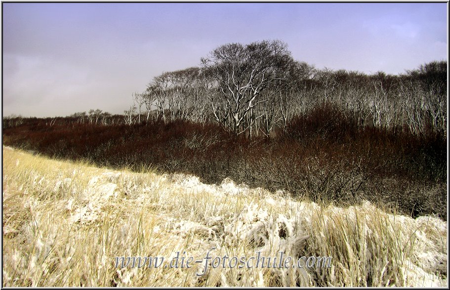 Darss_Weststrand_Ostsee85_Die_Fotoschule.jpg