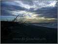 Darss_Weststrand_Ostsee05_Die_Fotoschule