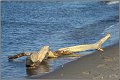 Darss_Weststrand_Ostsee10_Die_Fotoschule