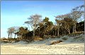 Darss_Weststrand_Ostsee20_Die_Fotoschule