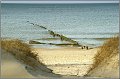 Darss_Weststrand_Ostsee28_Die_Fotoschule