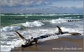 Darss_Weststrand_Ostsee46_Die_Fotoschule