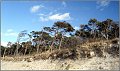 Darss_Weststrand_Ostsee48_Die_Fotoschule