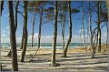 Darss_Weststrand_Ostsee53_Die_Fotoschule