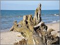 Darss_Weststrand_Ostsee62_Die_Fotoschule