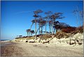 Darss_Weststrand_Ostsee76_Die_Fotoschule