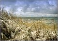 Darss_Weststrand_Ostsee83_Die_Fotoschule