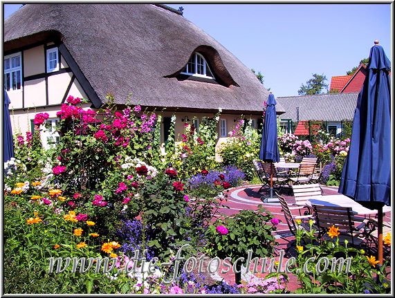 Ein Cafe, in dessen Garten wunderschne Rosen blhten und dufteten....