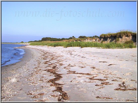 Nahe des Naturschutzgebietes stlich von Zingst