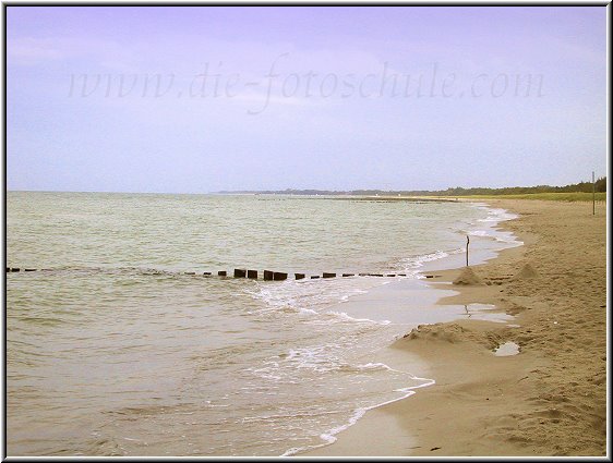 Zwischen Zingst und Prerow