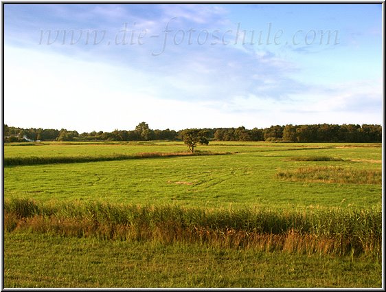 Bodden in Zingst